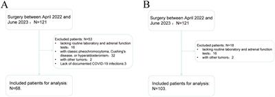 Changes in nonfunctional adrenal incidentaloma after COVID-19 infection and a model for predicting benign and malignant adrenal incidentaloma